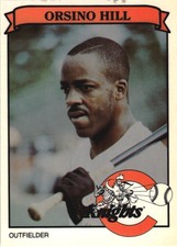 1989 Charlotte Knights Team Issue #24 Orsino Hill
