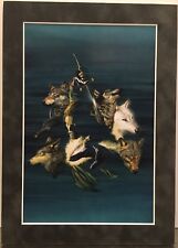 GAME OF THRONES By ALEX ROSS Matted Print JON SNOW STARK  George R.R. Martin
