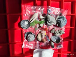Outer Banks Ocean beach drift finds shells Surf tumbled crystal sea glass 170 gr - Picture 1 of 23