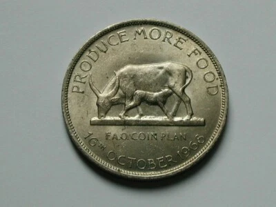 Uganda (Africa) 1968 5 SHILLINGS FAO Coin AU+ with Toned-Lustre & Watusi Bovine - Image 1 of 2