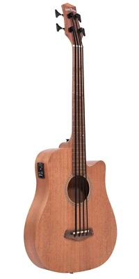 LEFTY M-Bass25FL 25-Inch Scale Fretless Acoustic-Electric MicroBass with Gig Bag - Image 1 of 4