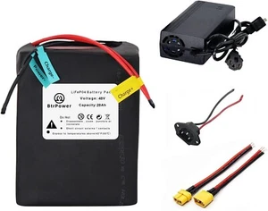 BtrPower 48V 20Ah LiFepo4 Lithium Battery for 1000W Electric Bike Motor 50A BMS - Picture 1 of 9