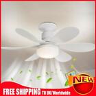 E26/27 Socket Fan LED Light Warm Light Ceiling Fan 40W/30W for Bedroom Kitchen