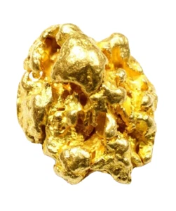 0,600+ GRAMM ALASKAN YUKON BC NATÜRLICHES REINES GOLDNUGGET HANDVERLESEN (#G600+) - Bild 1 von 9