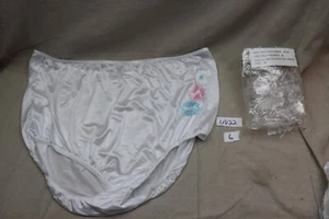 Vintage NYLON Panties Smart Fit Sz 16 White Pin-Up Retro Embroidered Flowers - Picture 1 of 7