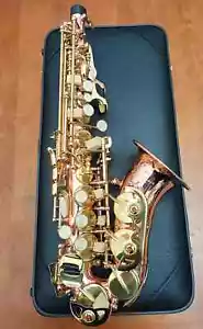 Nuevo Saxofón Soprano Curvo Sc-992 Saxo Cobre Chapado en Fósforo con Estuche - Imagen 1 de 13