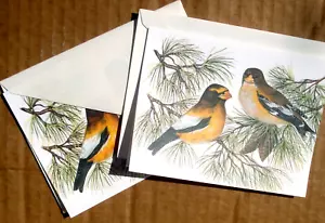 Lote de 2 tarjetas de notas en blanco Evening Grosbeak con sobres John Cornacchio EE. UU. 1999 - Imagen 1 de 2