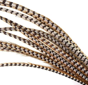 1 Pcs REEVES PHEASANT Natural Feathers 20-25” Crafts/Halloween/Burlesque/Hats - Picture 1 of 5