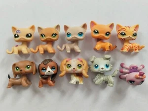 10 Stck./Posten Littlest Pet Shop Spielzeug LPS Katze Hund Spinne Figur für Kind 02 - Bild 1 von 5
