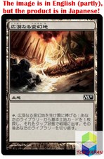 Magic: The Gathering MTG Jpver Foil Terramorphic Expanse M11 Common