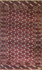 Turkoman Tekke Carpet 6'1" x 10'7", #16807