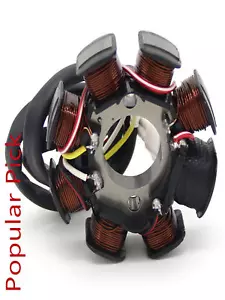 Bobina de estator generador magnético para KTM 55439204000 250 XC-W 20118 250 XC 17-19 - Imagen 1 de 7