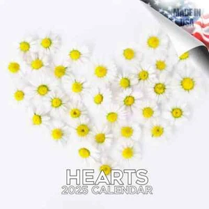 HEARTS Wall Calendar 2025 Love Lover Gift Photos Beautiful - Picture 1 of 2