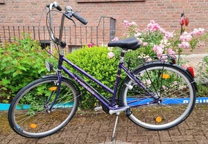 Pegasus Fahrrad 28 zoll Damen - gebraucht - Bild 1 von 6