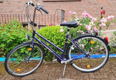 Pegasus Fahrrad 28 zoll Damen - gebraucht - Bild 1 von 4