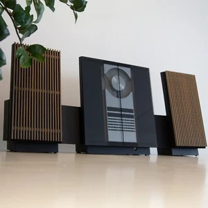 Grilles d'enceintes en bois Bang & Olufsen Beolab 2500 - Chêne foncé, faites main (paire) - Photo 1 sur 6