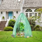 5.5' x 5.5'x 6' Portable Mini Garden Greenhouse w/ Rustproof Metal Frame Green