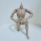 1 6 Scale Male Action Figure With Interchangeable Hands 12 Inch Male Body