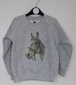 Horse Sweatshirt Children's and Adult Sizes - Picture 1 of 3