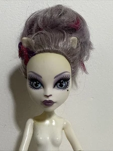 Monster High Doll - Catrine DeMew Scaremester READ! - Picture 1 of 8