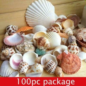 100g Aquarium Beach Nautical DIY Shells Mixed Bulk Fashion Shell Sea Prof U G3G5 - Picture 1 of 11