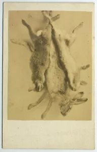 CDV 1860-70 Stillleben mit Kaninchen. Nach Natur, nicht nach Bild. Jagd - Bild 1 von 1