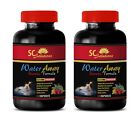 Energy vitamins for men - WATER AWAY PILLS 2B - green tea cr purity products