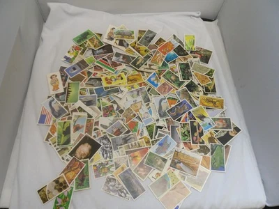 Hundreds of mixed tea and trade cards - Image 1 of 4