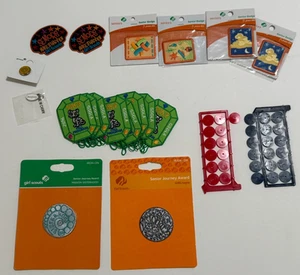 Pfadfinder Konvolut Bügelflicken, Pinscheiben, Pin, Charm - GSGLA aus den 2010er - Bild 1 von 13