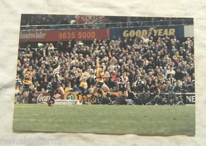 RUGBY LEAGUE PHOTO - DANIEL WAGON, PARRAMATTA EELS - Picture 1 of 1