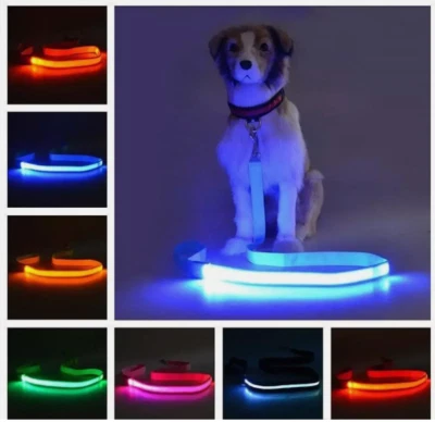 GLOBAL INTERNATIONAL RECHARGEABLE LED Light-up GLOW LEASH Dog Pet Night Safety Flash Lead MICRO USB