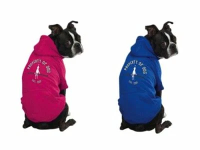 PROPRIEDADE do Departamento Atlético DOG = Moletom com Capuz para Cachorro Rosa "ou" Azul SM / S/M / MED - Imagem 1 de 4