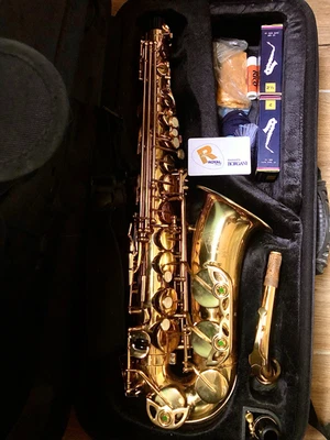 Sassofono contralto “Borgani Royal” serie  RAS55 - Immagine 1 di 4