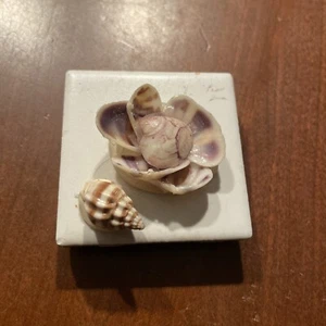 Handmade Seashell Refridgerator Magnet - Picture 1 of 2