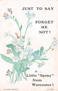 POSTCARD WORCESTER FORGET ME NOT A LITTLE SPRAY - Picture 1 of 2