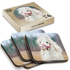 4 x Boxed Square Coasters - White Shetland Pony Animals Pets Cute  #8337