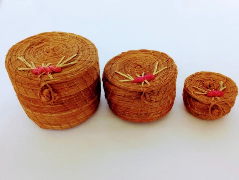 Handmade "Capim Dourado" Needle Lidded Coiled Basket Decor Rustic Cover