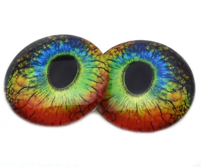 Pair Rainbow Lizard Reptile Glass Eyes Jewelry Doll Taxidermy Flatback Cabochons - Image 1 of 4
