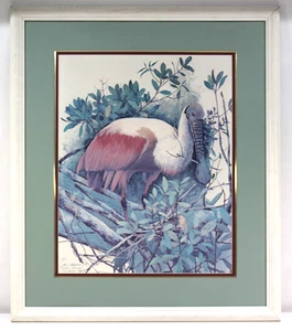 Neil Adamson Roseate Spoonbill NWS Artist Proof VTG Signed Art Framed Handsigned - Picture 1 of 24