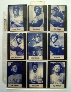1970 Milwaukee Brewers Flavor-Est Milk 15 Baseballkarten +24 Jalfco 1988 Reprint - Bild 1 von 9
