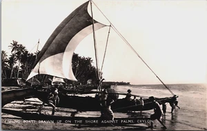 Barcos de pesca de Ceilán dibujados en la orilla contra las palmeras Sri Lanka RPPC B175 - Imagen 1 de 2