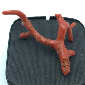 Vintage Red Coral Polished Branch New Arrival Coral Branch For Making Jewelry - Picture 1 of 6
