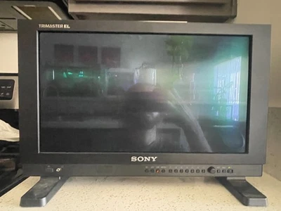 Monitor de video profesional OLED Sony PVM-A170 17" ¡Excelente estado! Impecable. Foto 1 de 4
