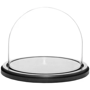 Cúpula de exhibición de vidrio Plymor de 8" x 6,5" (base de madera MDF negra) - Imagen 1 de 1