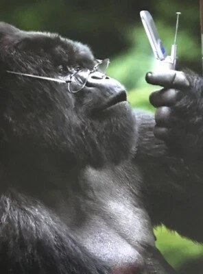 Divertido, Gorila con Teléfono Celular, Feliz Día del Padre, Avanti, Tarjeta de Felicitación Foto 1 de 3