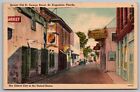 Panneaux en lin pittoresque vieux Saint George Street View St Augustine Floride carte postale PM