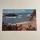 Carte postale vintage Wild Rhododendron Blooms California Coastline Mike Roberts