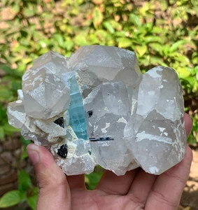 Aquamarin Kristall mit Turmalin Kombinieren Quarz Kristall Präparat aus Pakistan - Bild 1 von 8