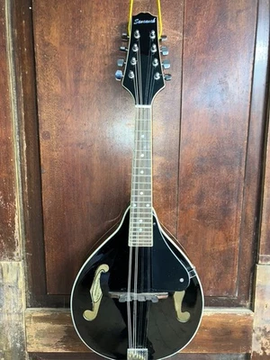 Savannah SA-100-B A Style Black F Hole Student Mandolin with Hard Shell Case - Image 1 of 4