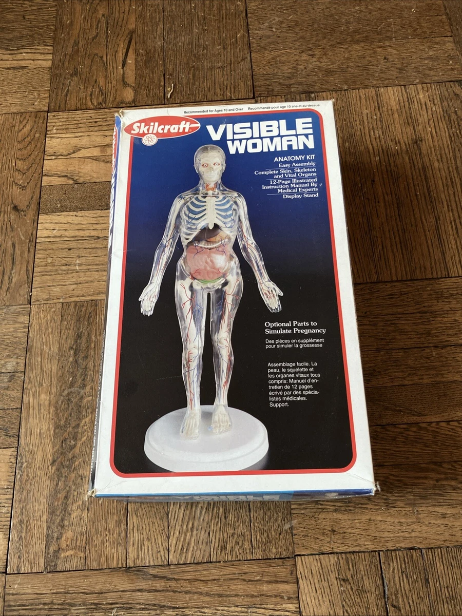 visible woman products for sale | eBay